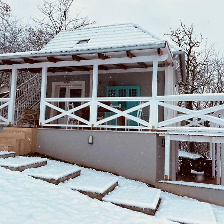 Vila Dandelion "Zsalya" Vendeghaz Kisapati Exteriér fotografie